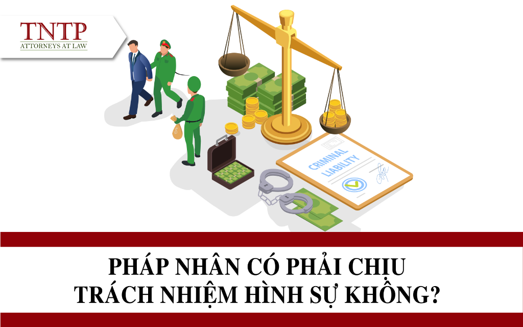 Pháp nhân có phải chịu trách nhiệm hình sự không