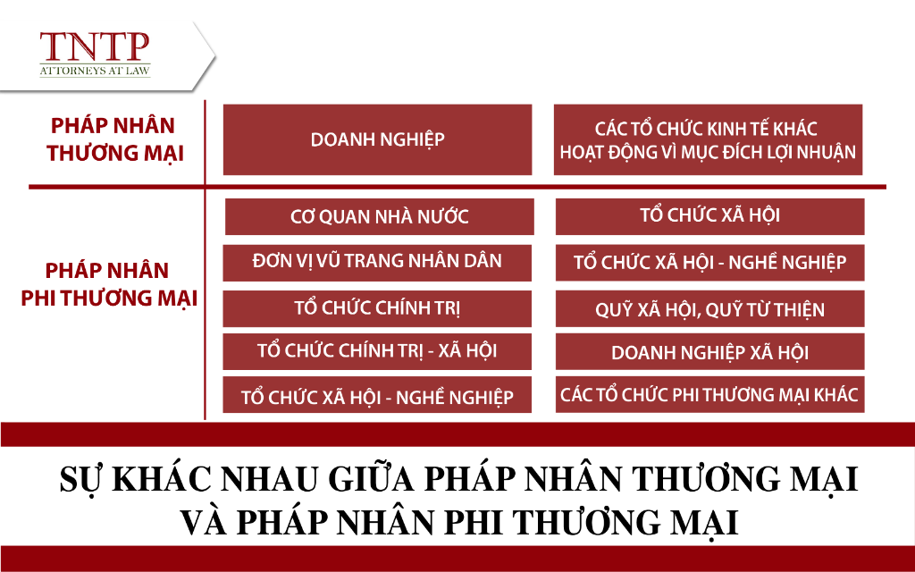 pháp nhân thương mại và phi thương mại