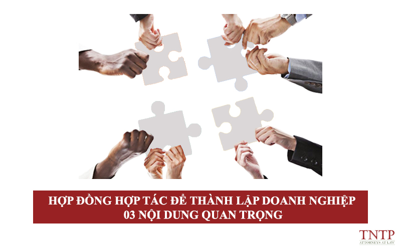 Hợp đồng hợp tác để thành lập doanh nghiệp – 03 nội dung quan trọng