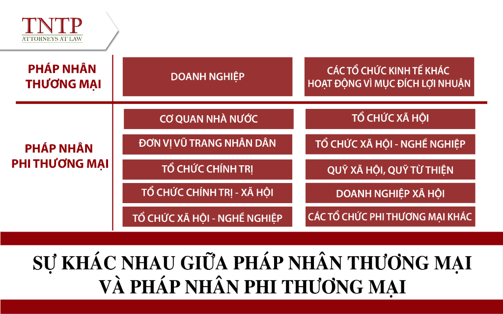 pháp nhân thương mại và phi thương mại