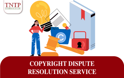 Copyright Disputes Resolution Services