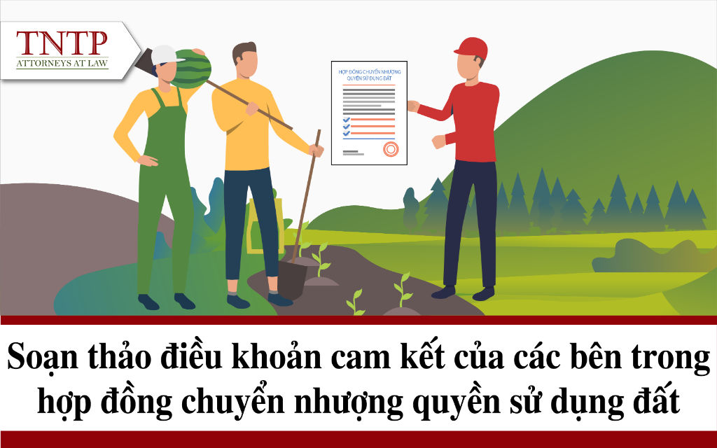 Soạn thảo điều khoản cam kết của các bên trong hợp đồng chuyển nhượng quyền sử dụng đất