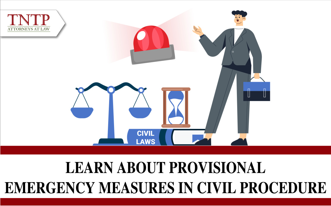 Learn about provisional emergency measures in civil procedure