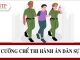 Cưỡng chế thi hành án dân sự